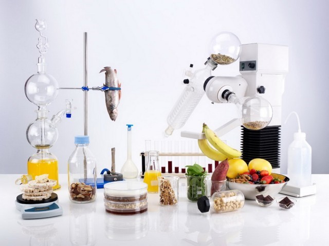 Food and Beverages Startup